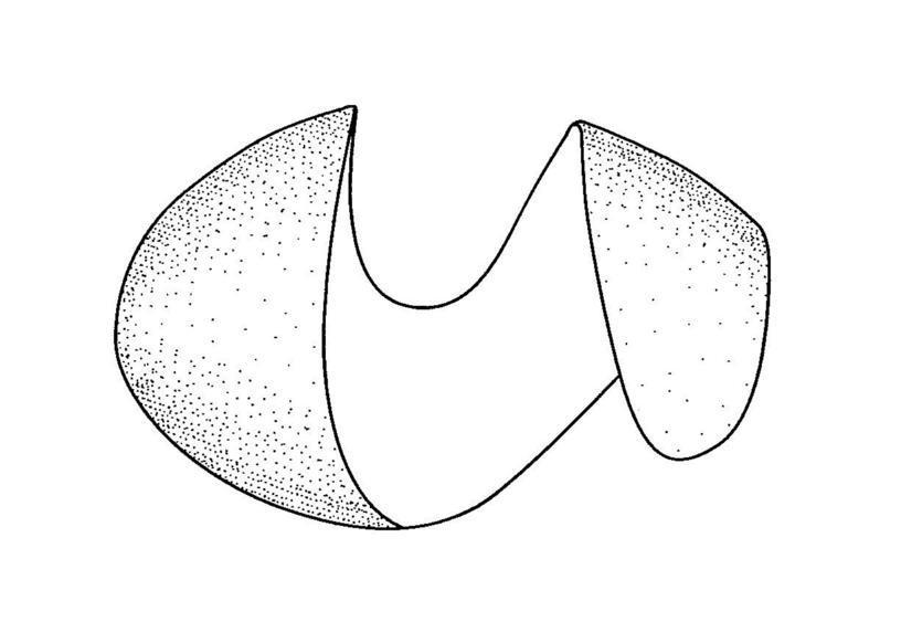 螺旋状切欠ポテトピースの意匠