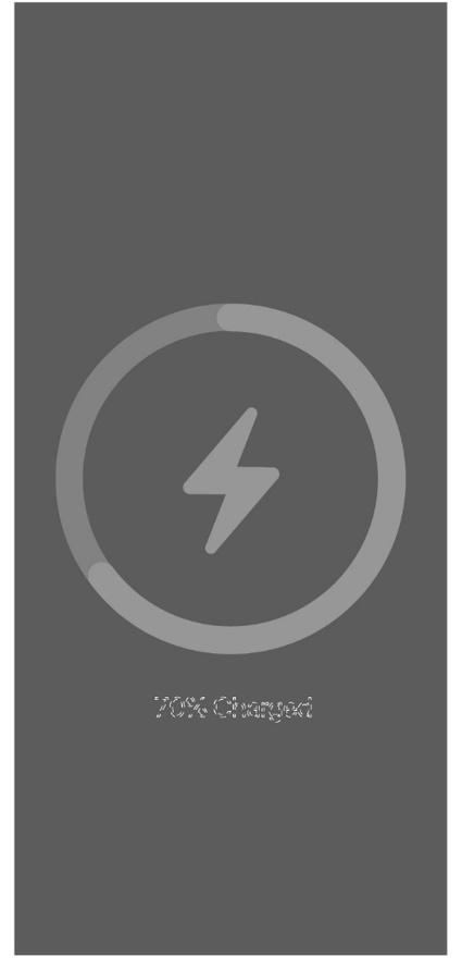 情報表示用画像